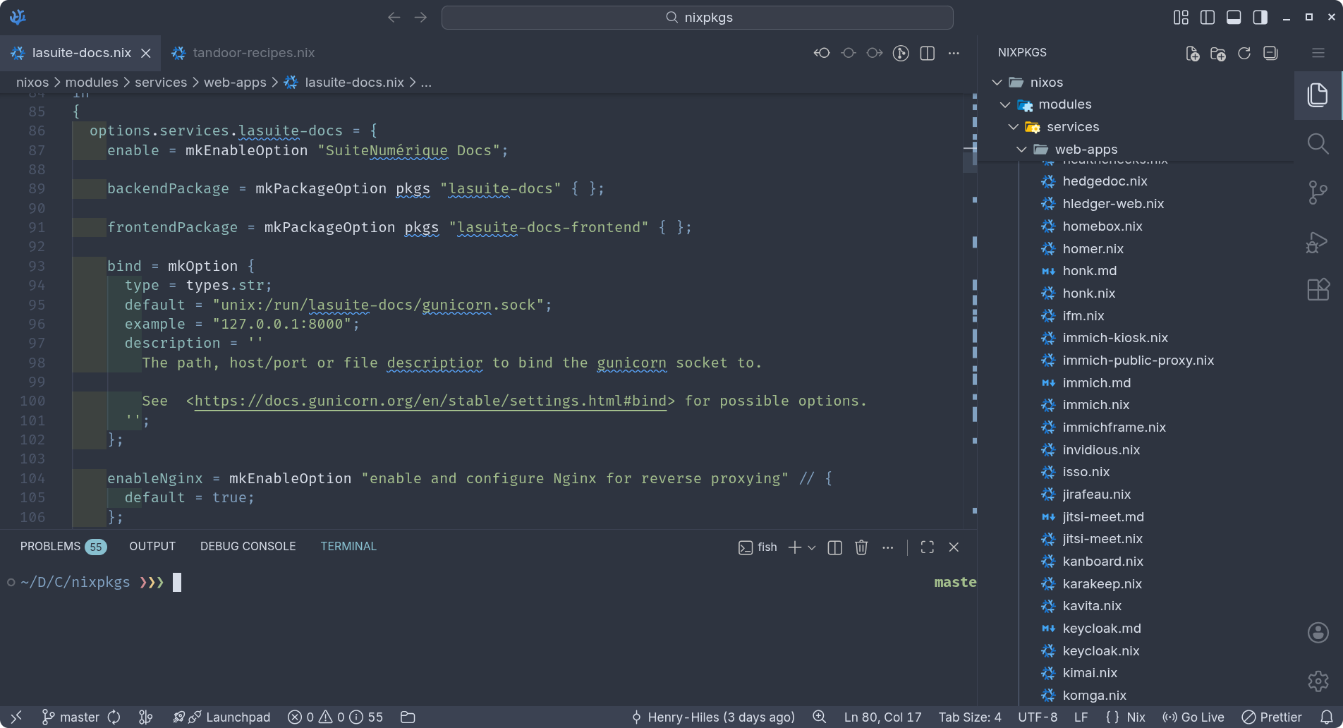 A screenshot showing Nixpkgs open in VSCodium